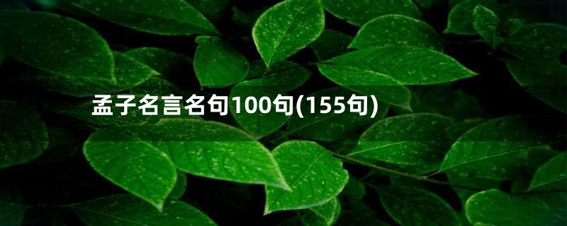 孟子名言名句100句(155句)
