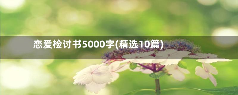 恋爱检讨书5000字(精选10篇)