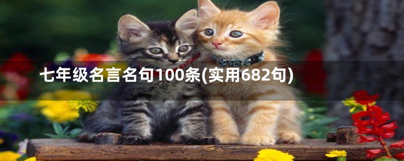 七年级名言名句100条(实用682句)