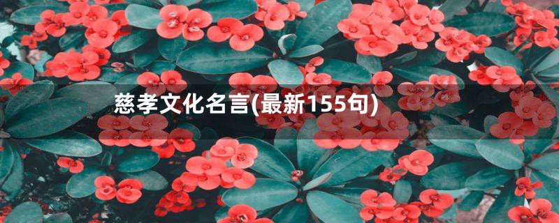 慈孝文化名言(最新155句)