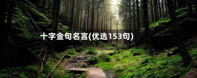 十字金句名言(优选153句)
