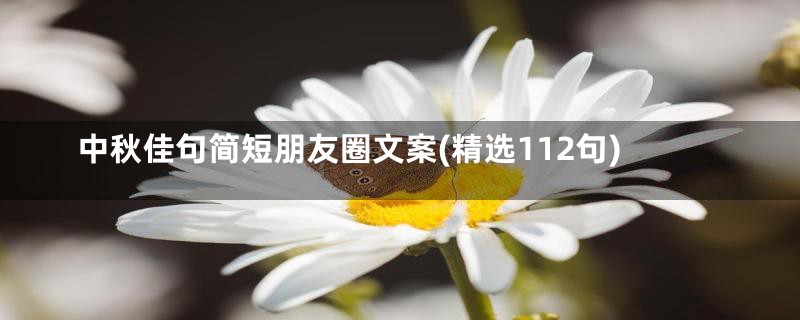 中秋佳句简短朋友圈文案(精选112句)